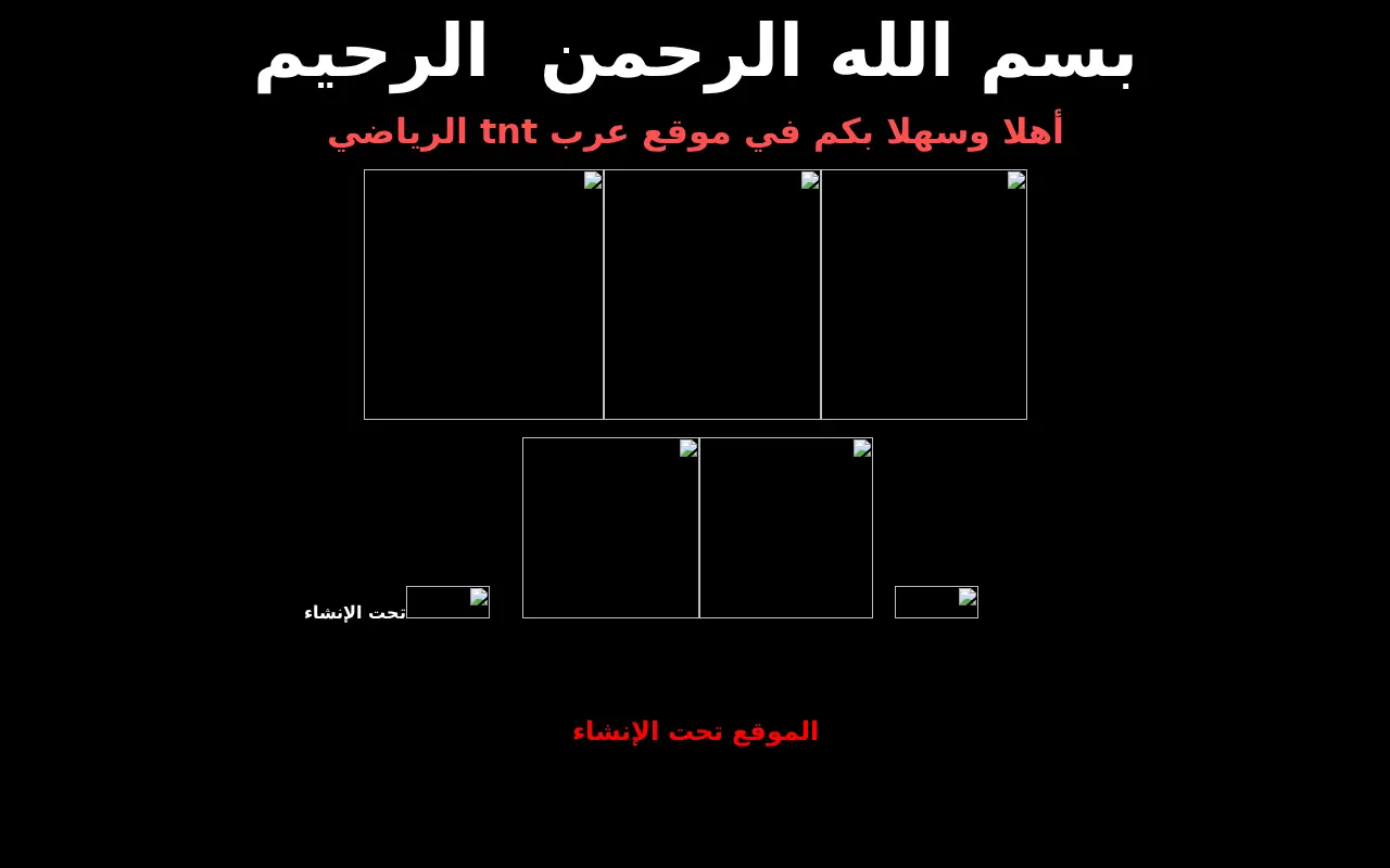arabtnt.com in 2005