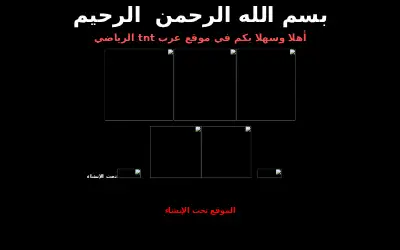 arabtnt.com in 2005