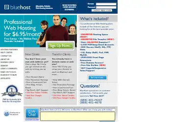 bluehost.com in 2008