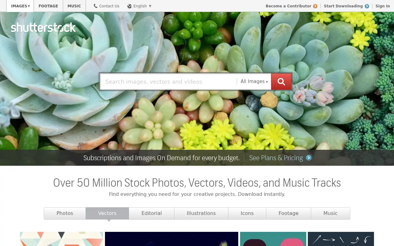 shutterstock.com in 2015