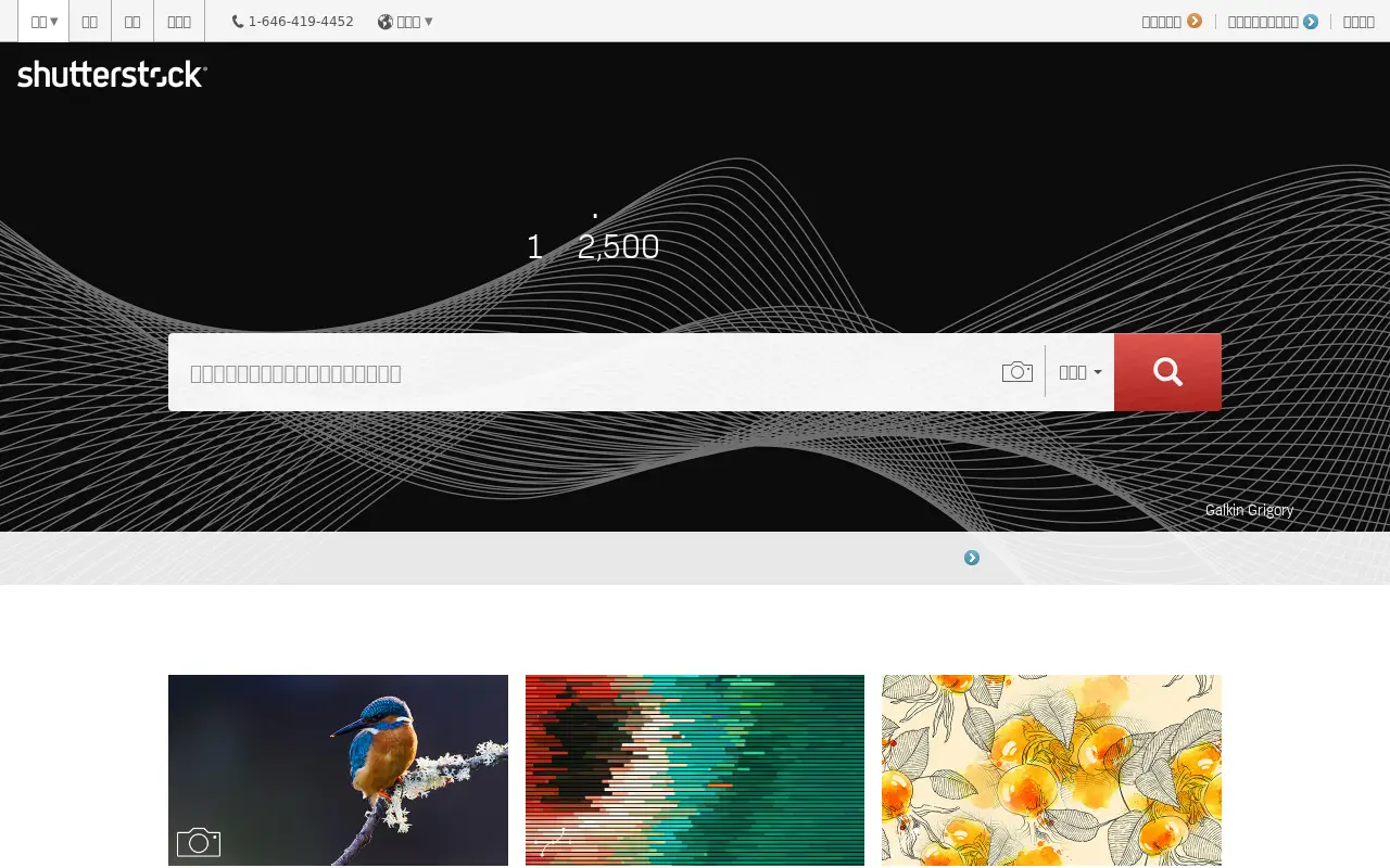 shutterstock.com in 2017