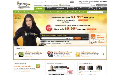 godaddy.com in 2010