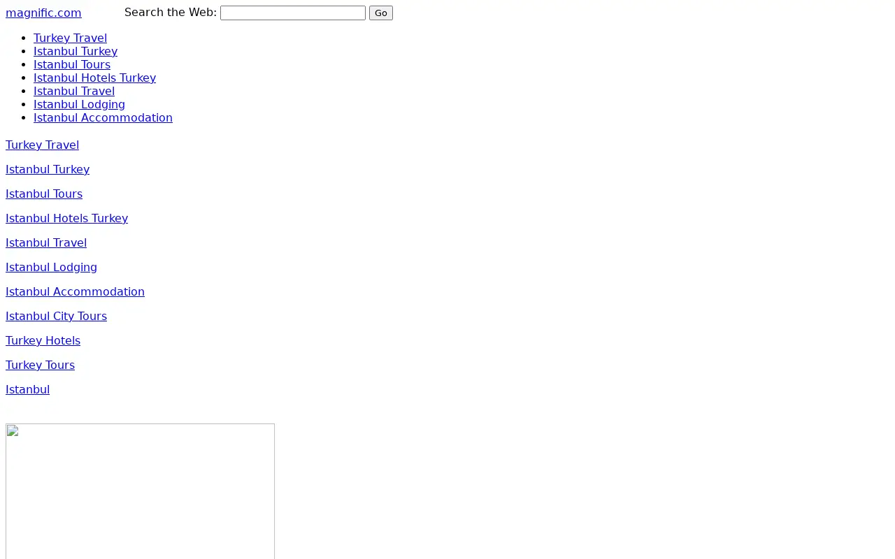 magnific.com in 2008
