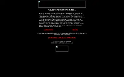 delicious.com in 2001