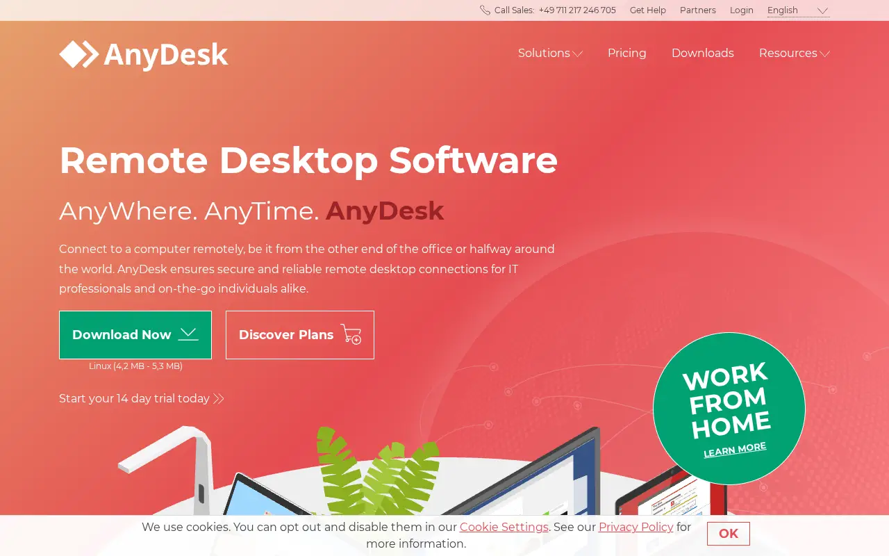 anydesk.com in 2021