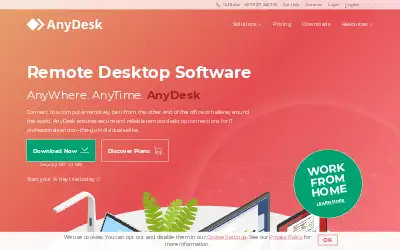 anydesk.com in 2021