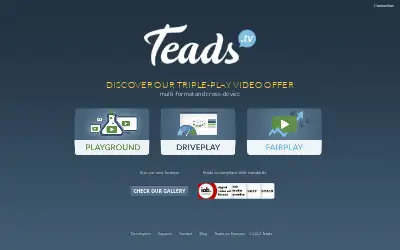 teads.tv in 2013