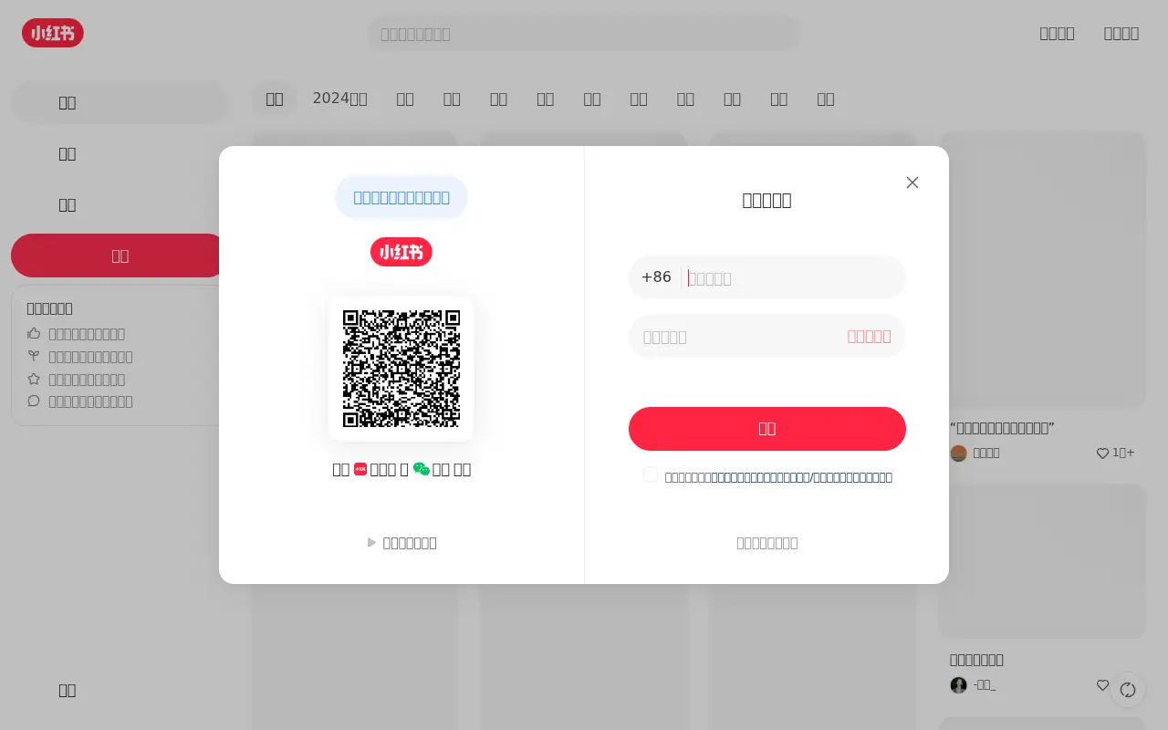 xiaohongshu.com in 2024
