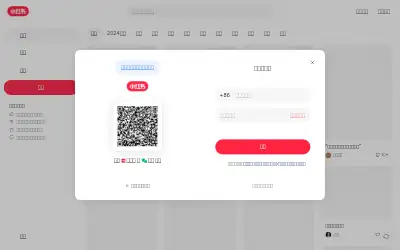 xiaohongshu.com in 2024