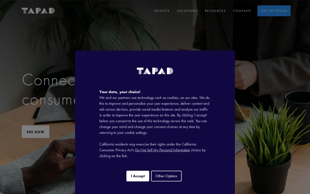 tapad.com in 2020